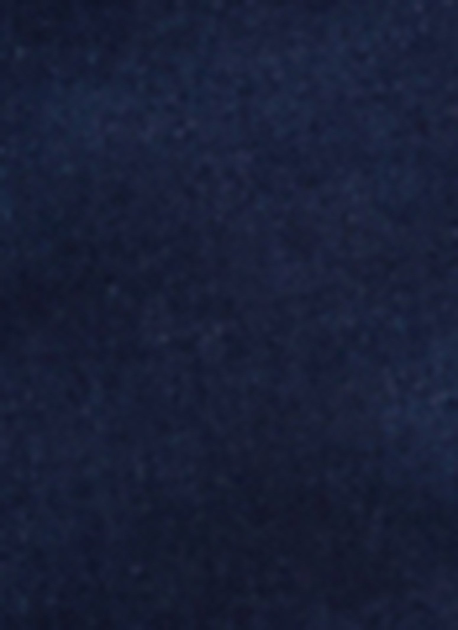 WAX Denim Joggers