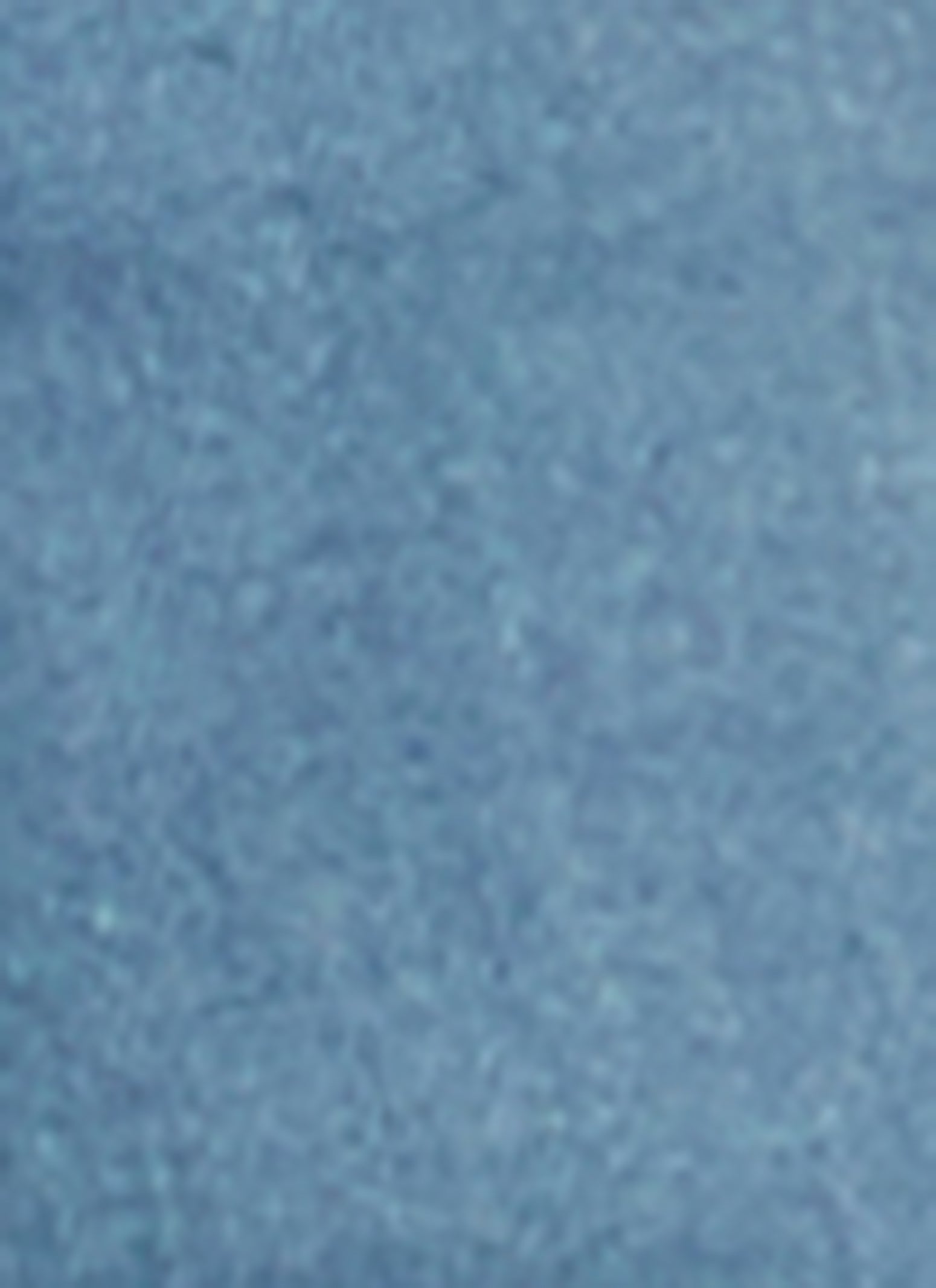 WAX Long Sleeve Denim Jacket